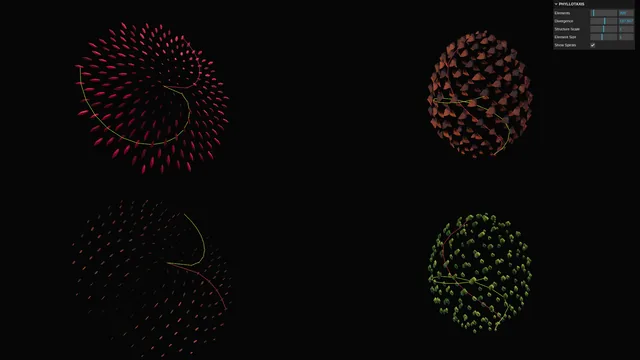 Phyllotaxis / Types